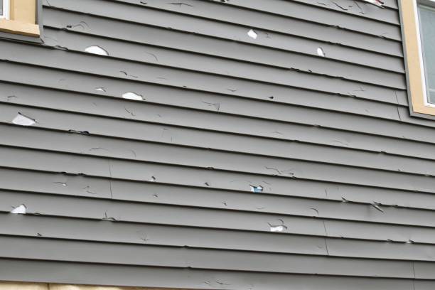 Shed Removal in Pana, IL